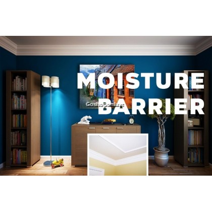 BM Coating Moisture Barrier 1L BM Coating Moisture Barrier 1L